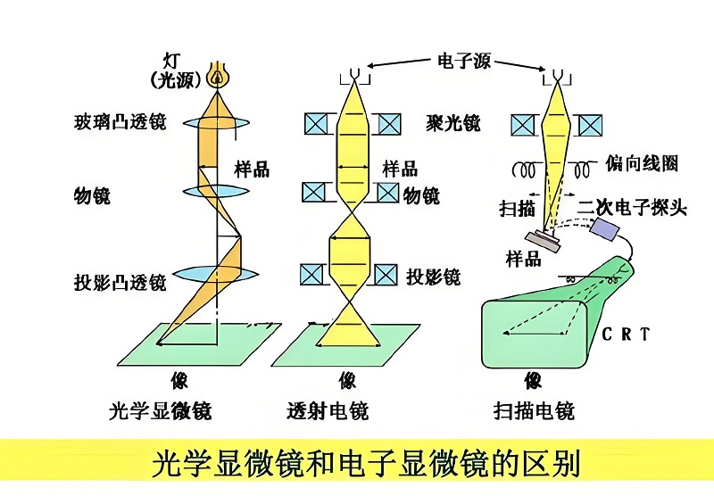 光学显微镜与电子显微镜的核心原理差异.jpg
