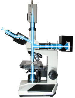 ������΢��ͼ��