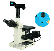 �῵P6000�������������