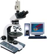 ������ƫ����΢��